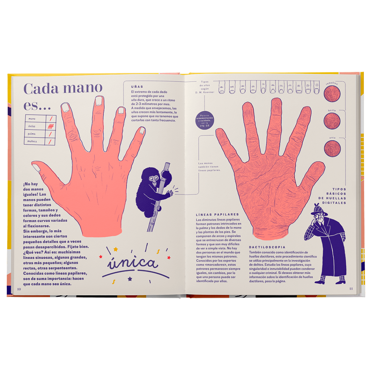 Mano. Una guía completa4