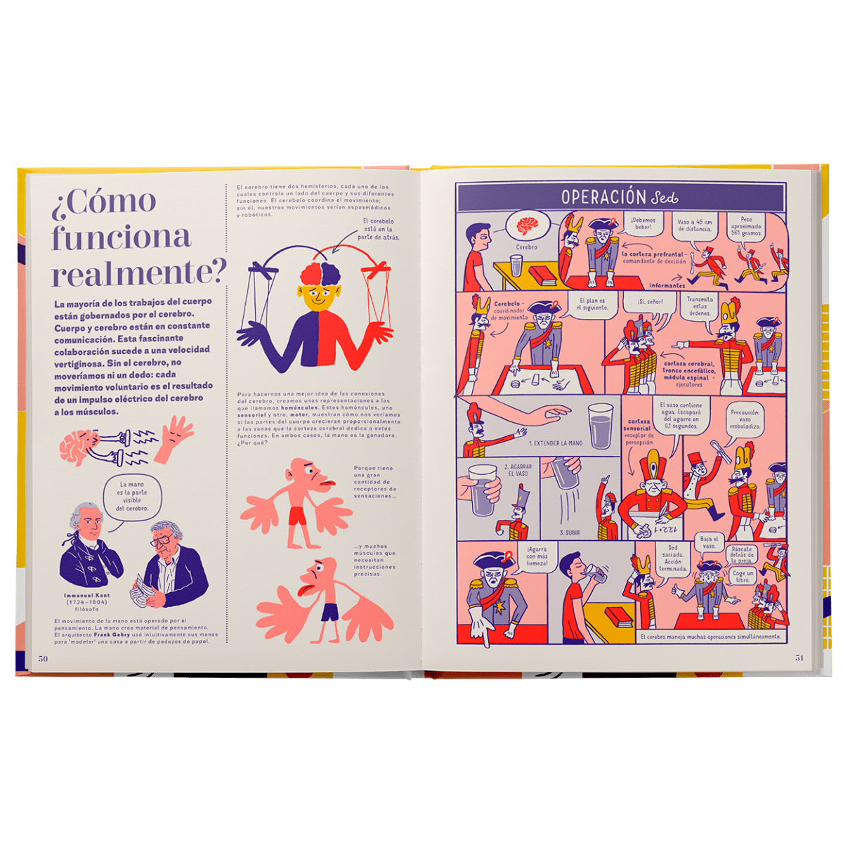 Mano. Una guía completa5