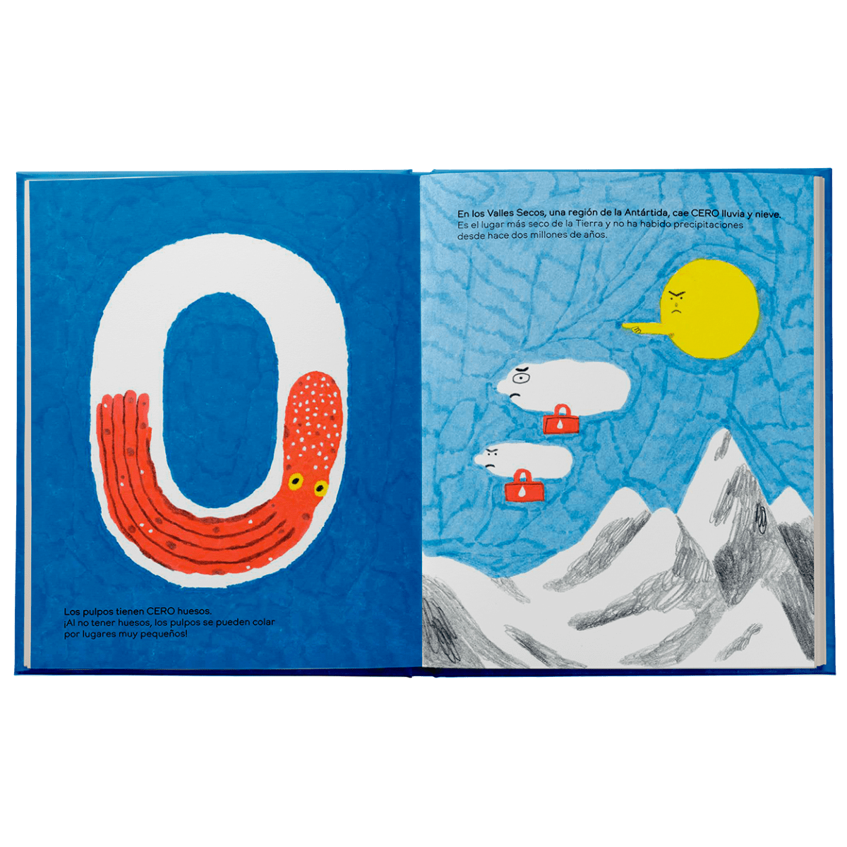 Los pulpos tienen cero huesos4