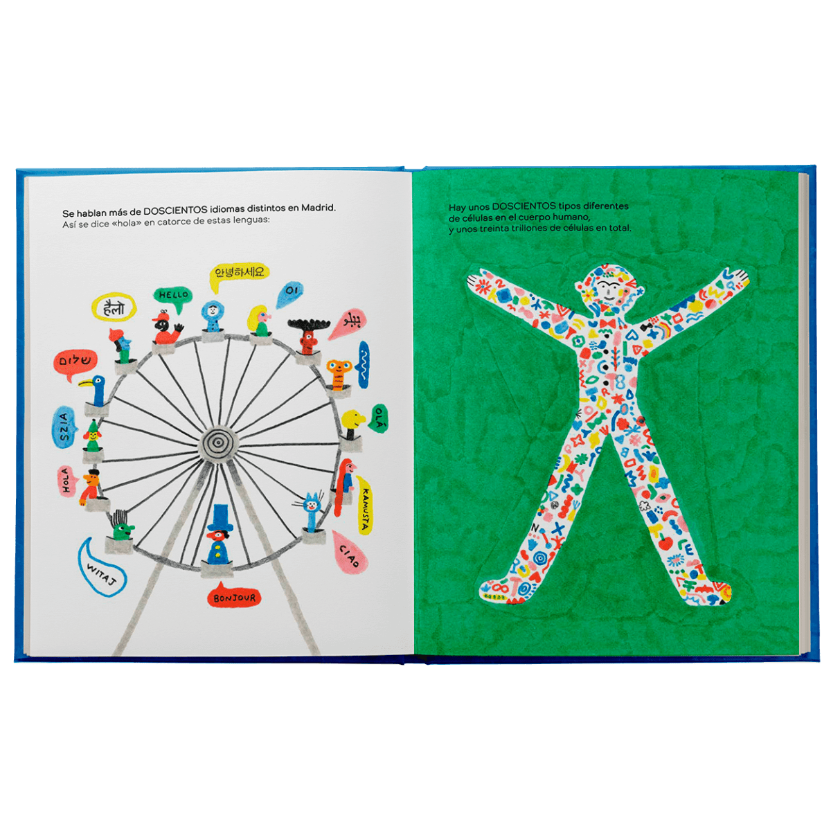 Los pulpos tienen cero huesos5