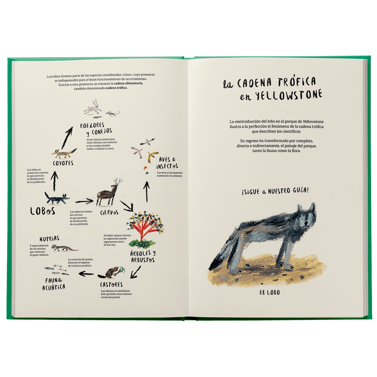 El regreso de los lobos5