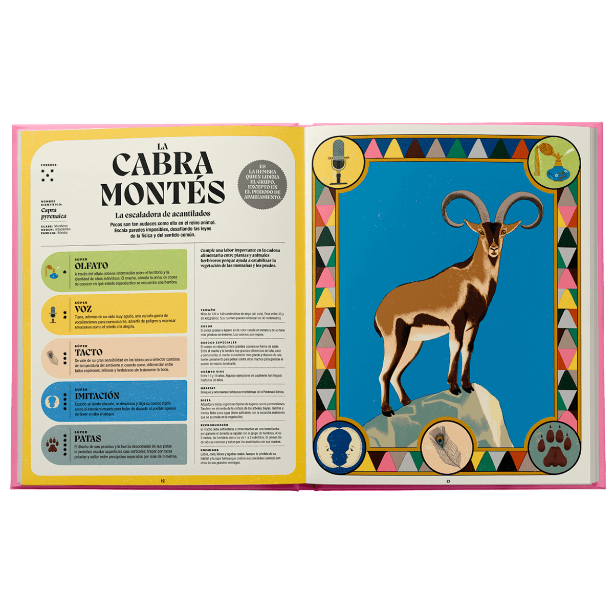 Superpoderes animales3