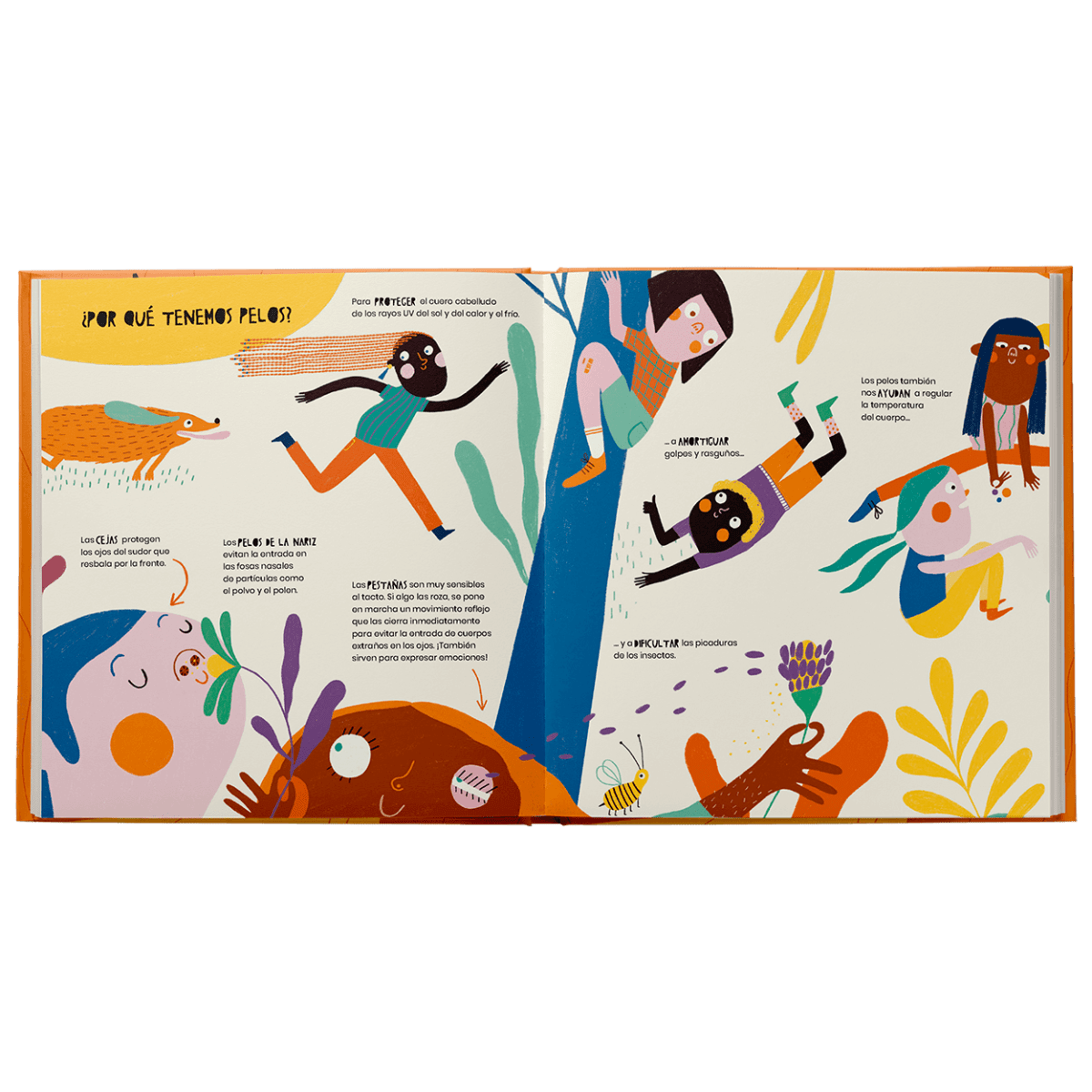 La vida secreta de los pelos3