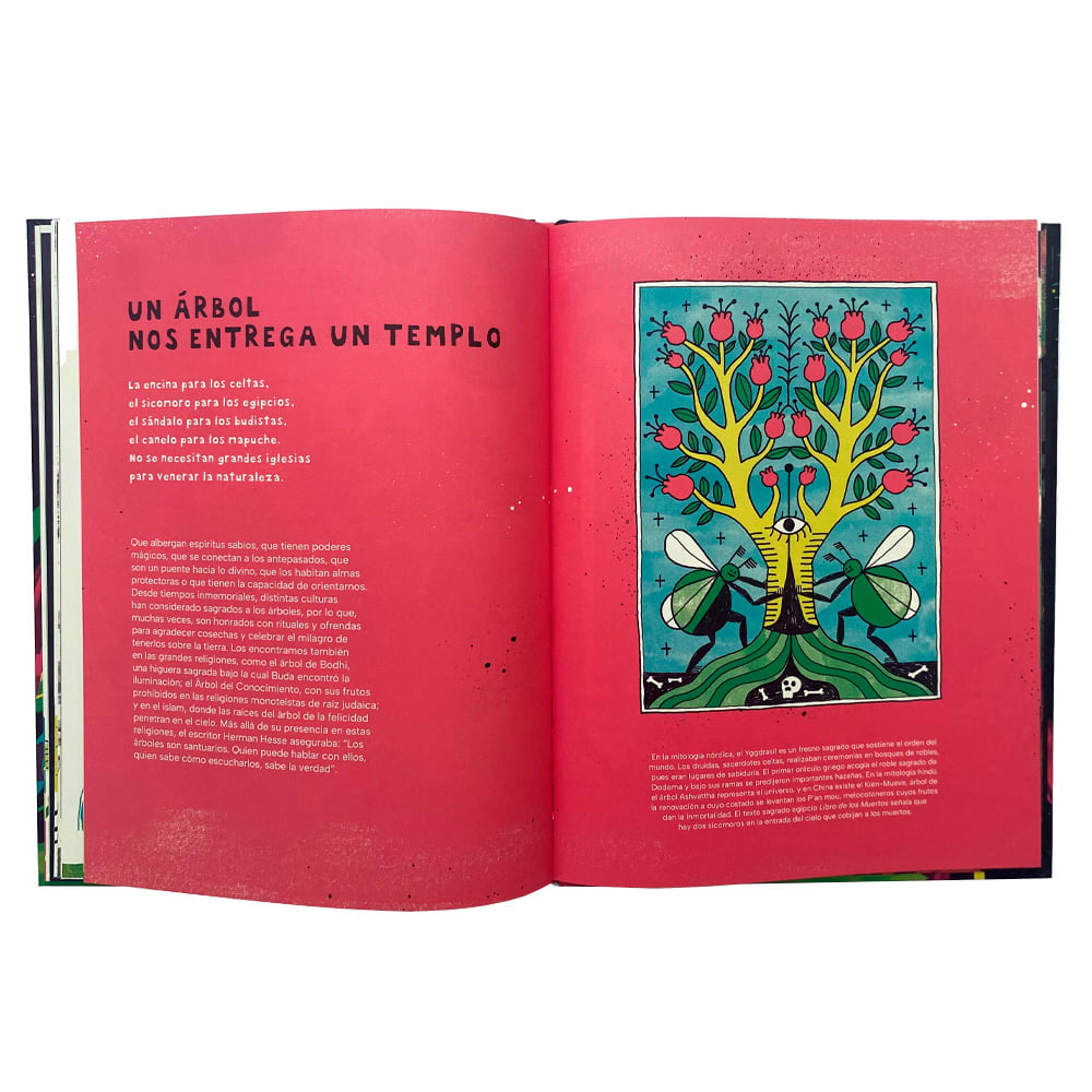 Un árbol. Un regalo desde la raíz al cielo4