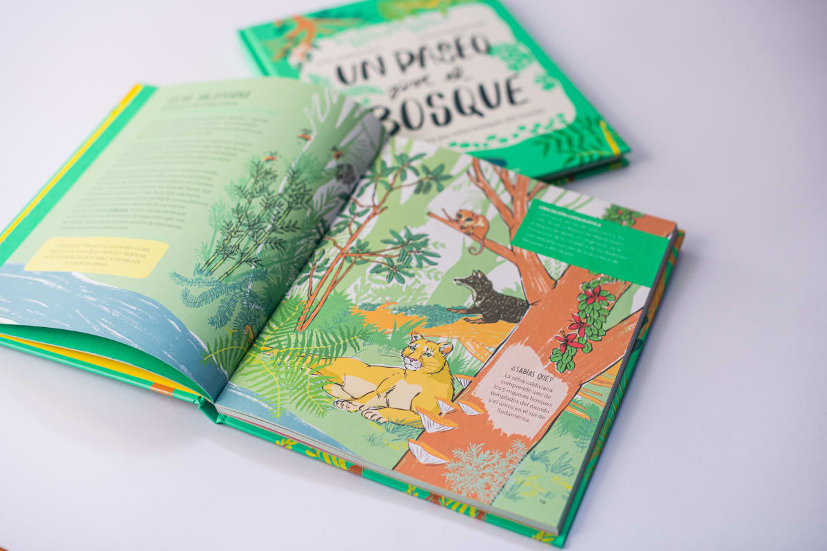 Un paseo por el bosque3