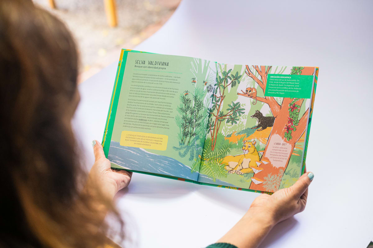 Un paseo por el bosque4