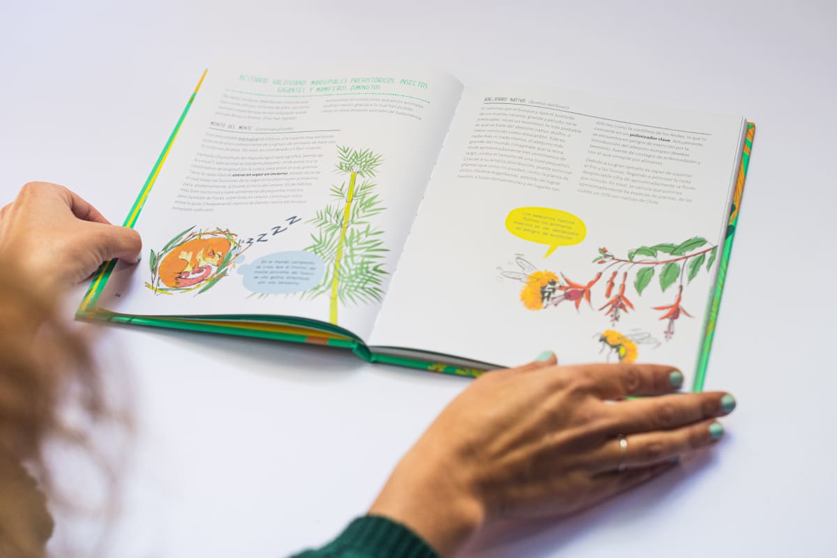 Un paseo por el bosque5