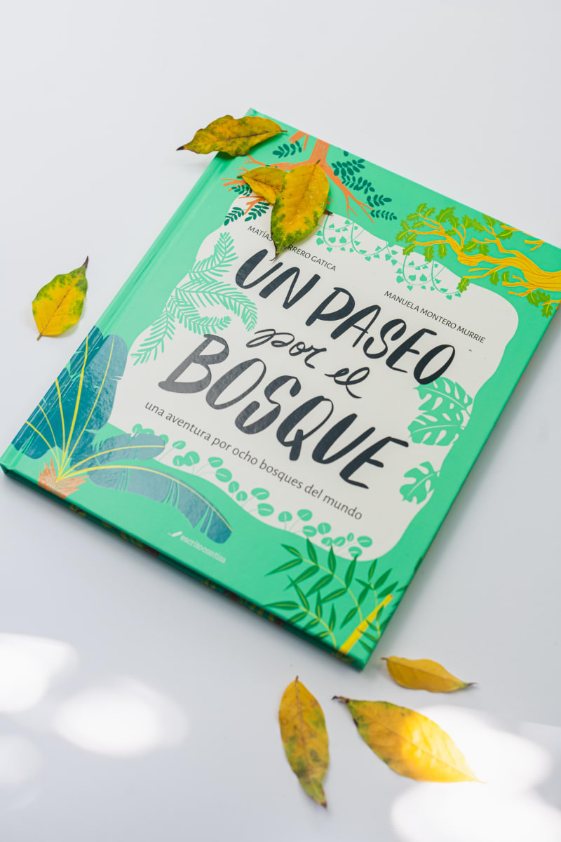 Un paseo por el bosque2