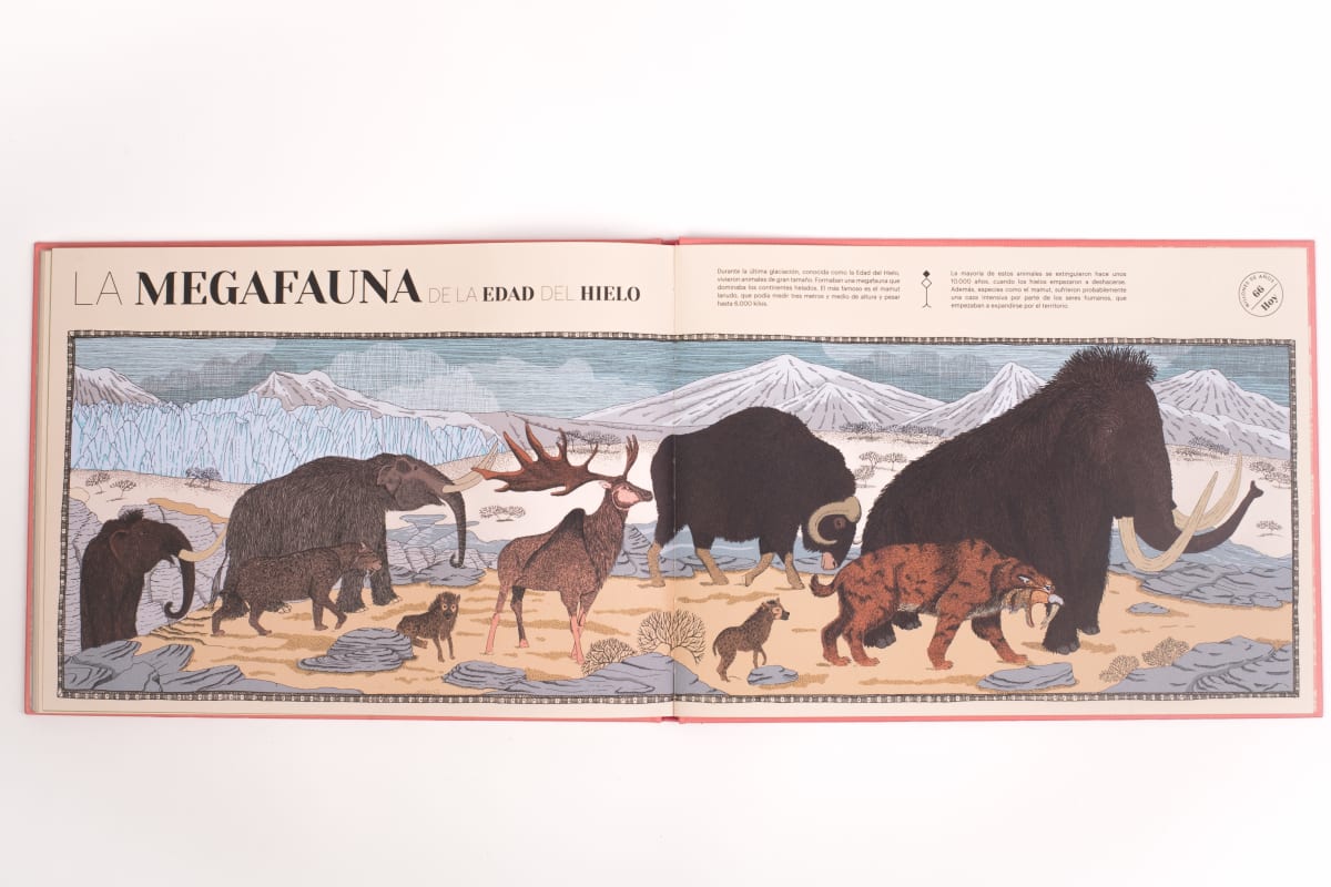 Paisajes perdidos de la tierra5