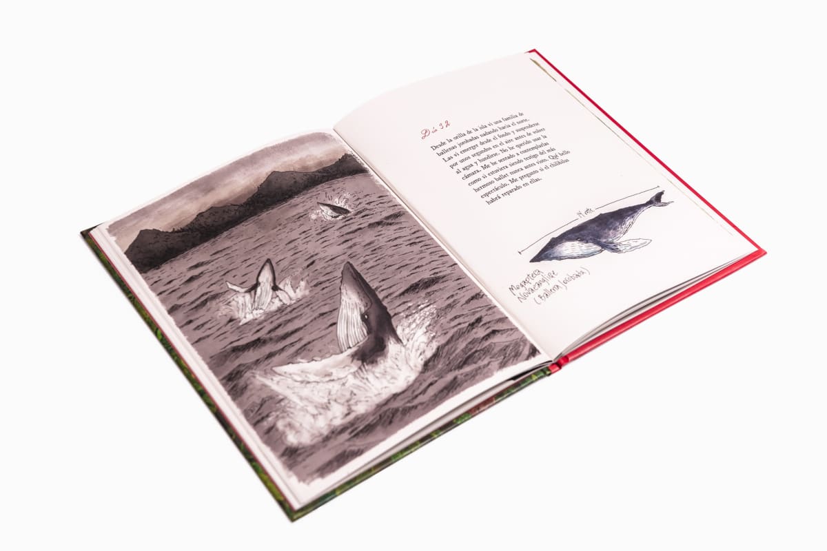 Dr. Chatwin y el Chilibilus6