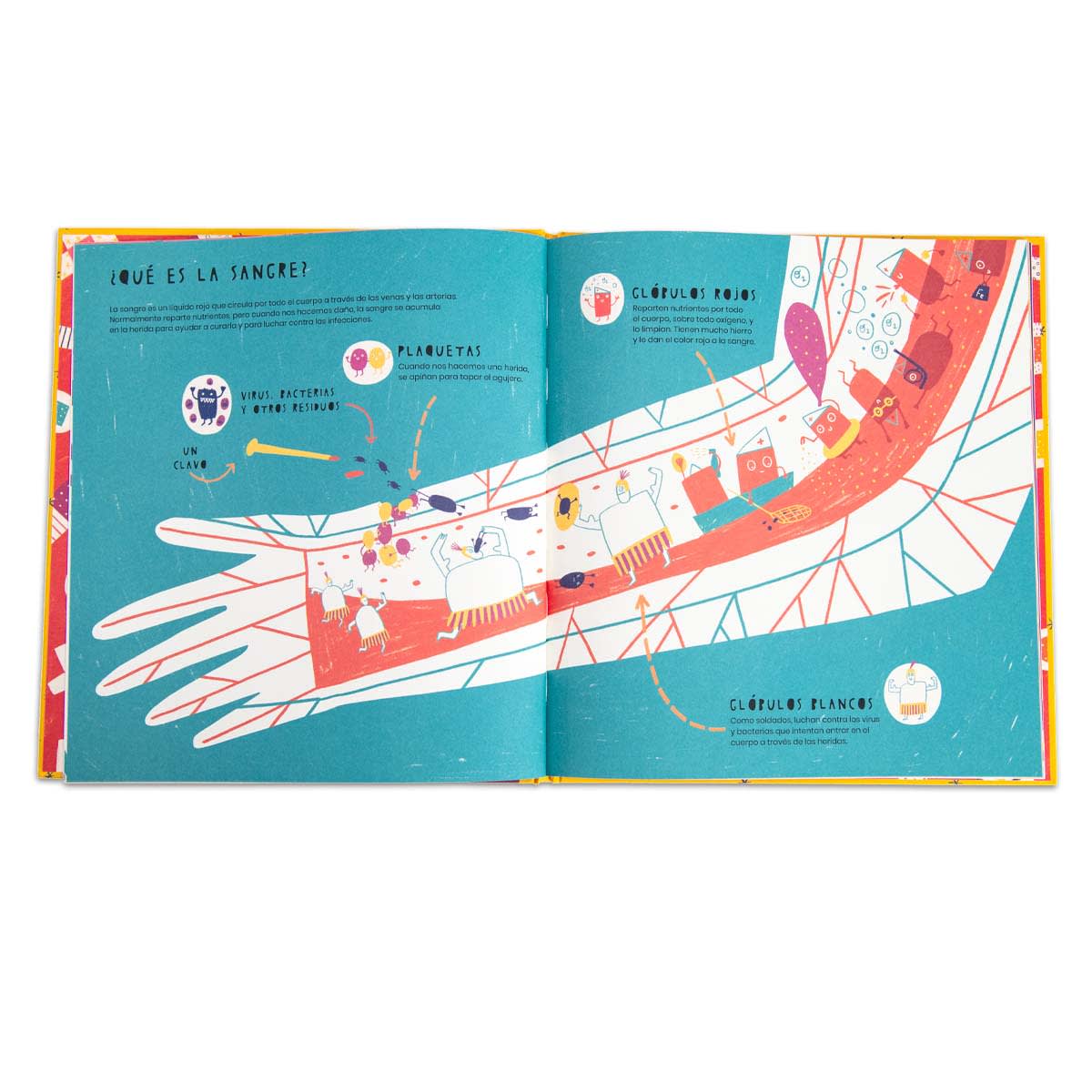 La vida secreta de las heridas2