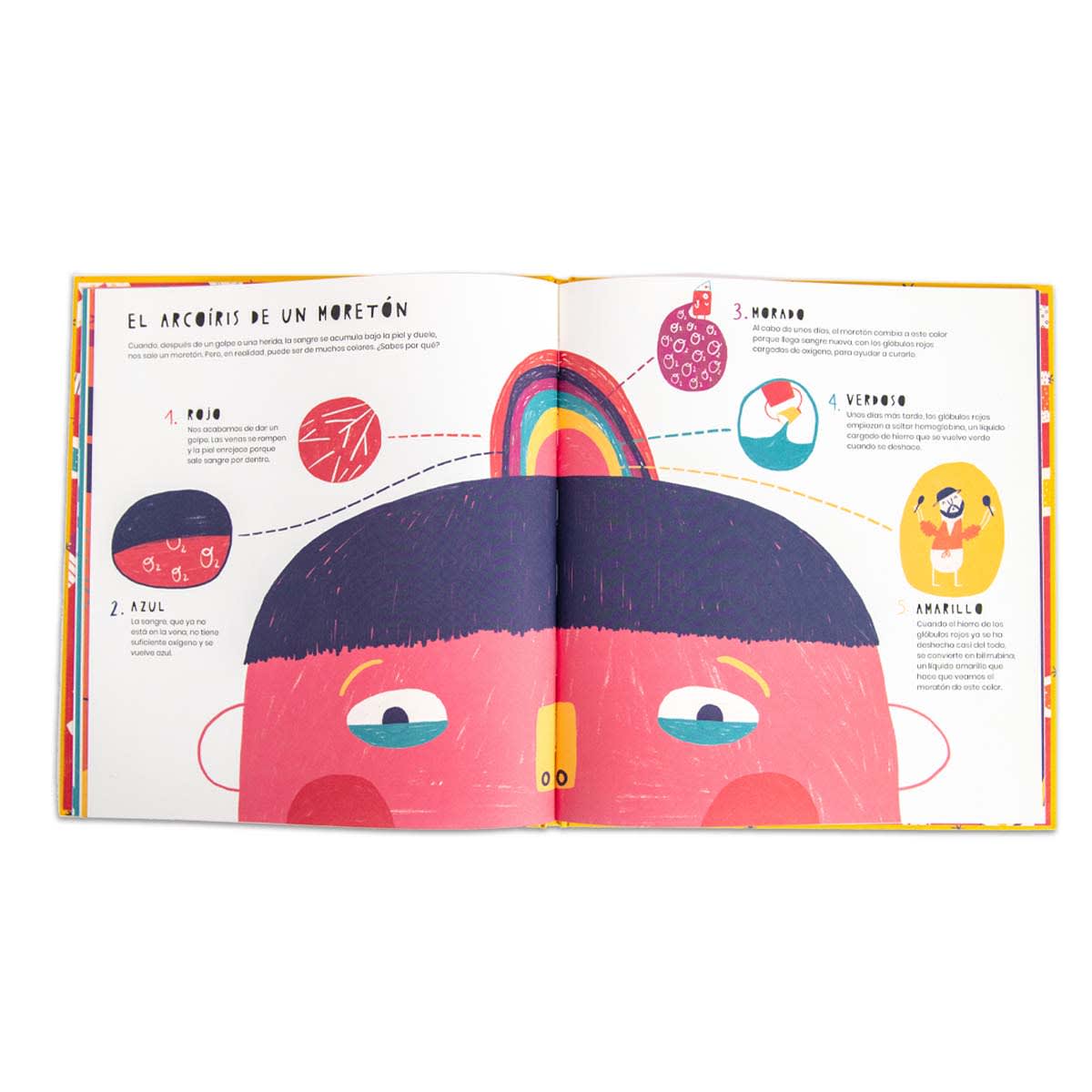 La vida secreta de las heridas6