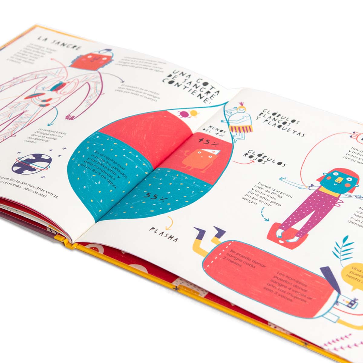 La vida secreta de las heridas9