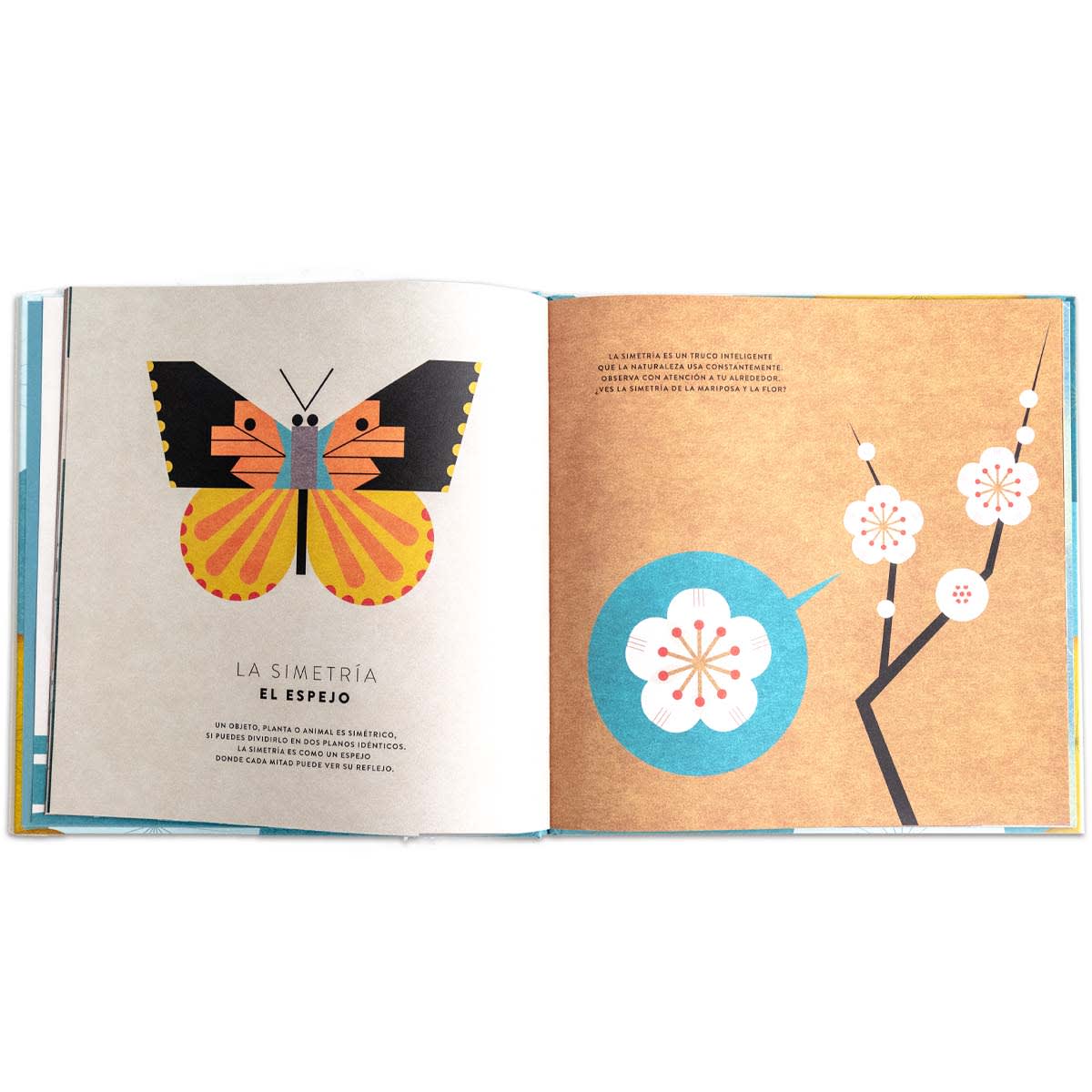 Las matemáticas del universo5