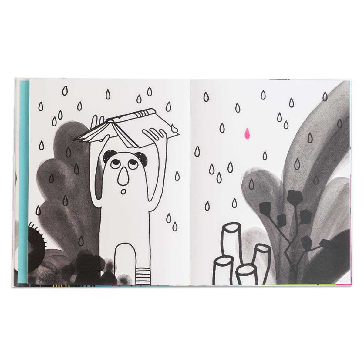 Un libro8