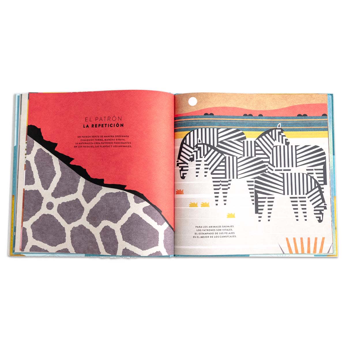 Las matemáticas del universo6