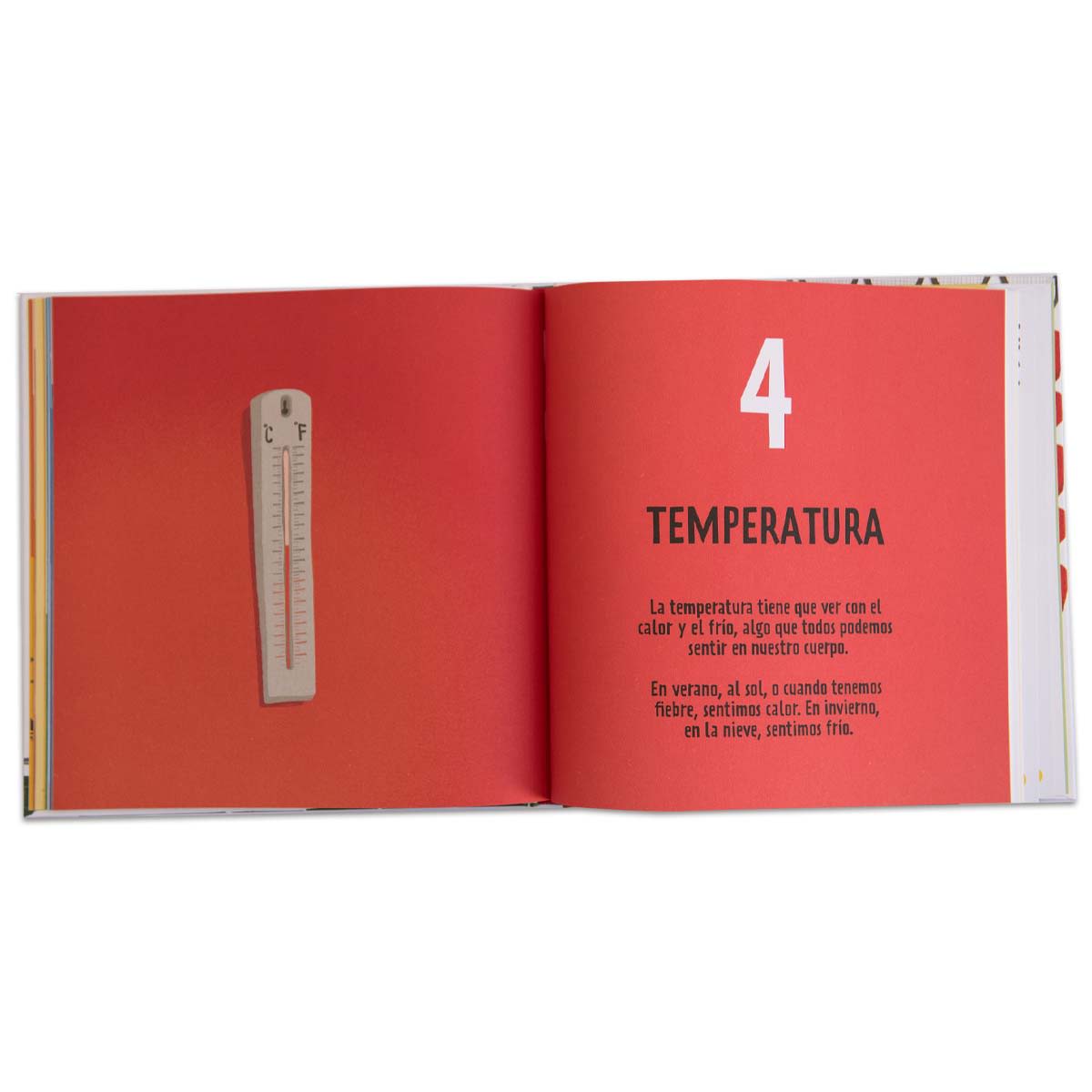 ¿Cuánto mide?7