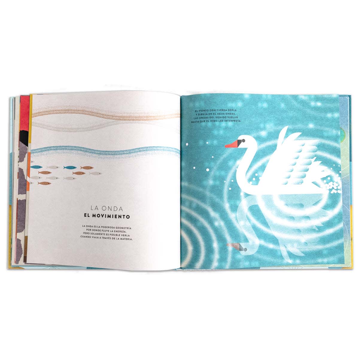 Las matemáticas del universo7