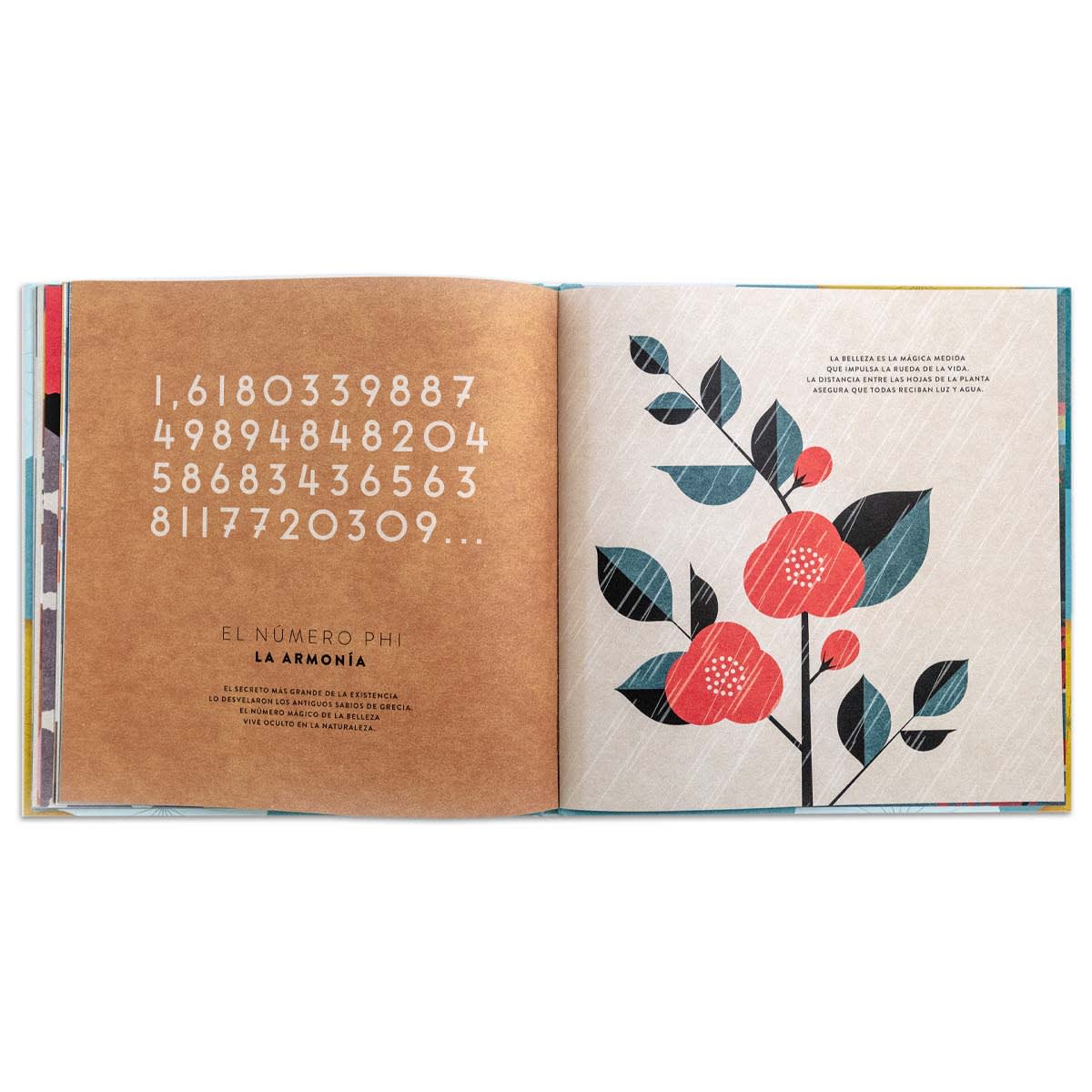 Las matemáticas del universo8