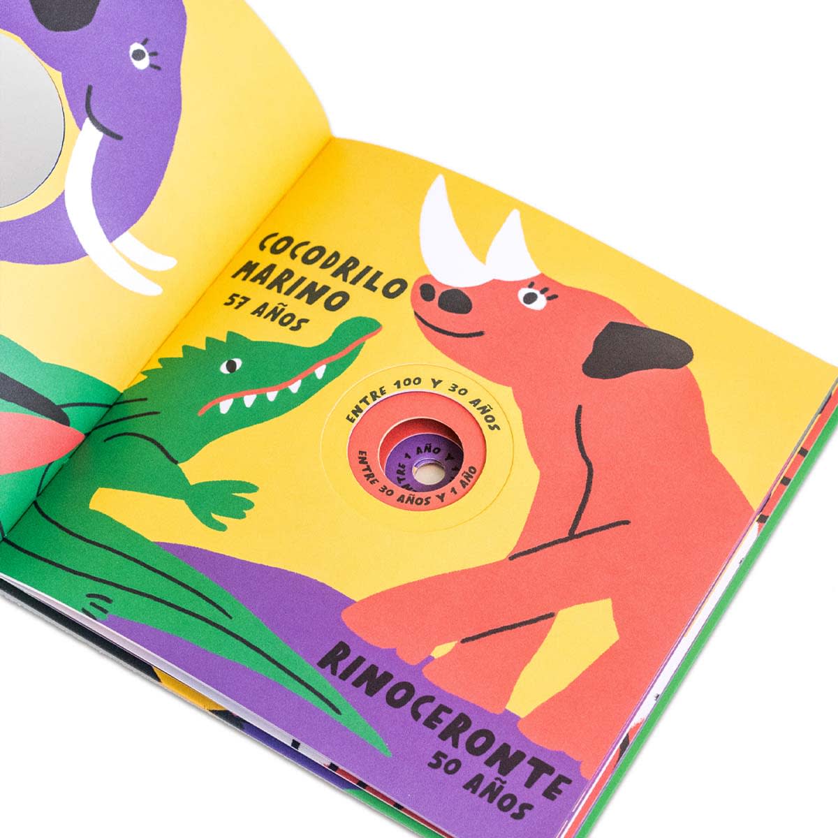 ¿Cuánto tiempo vive?6