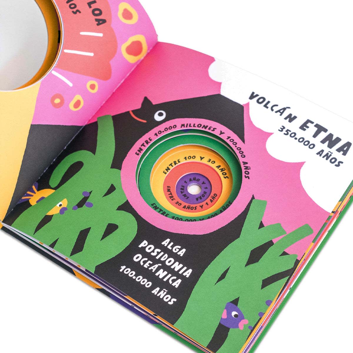 ¿Cuánto tiempo vive?8