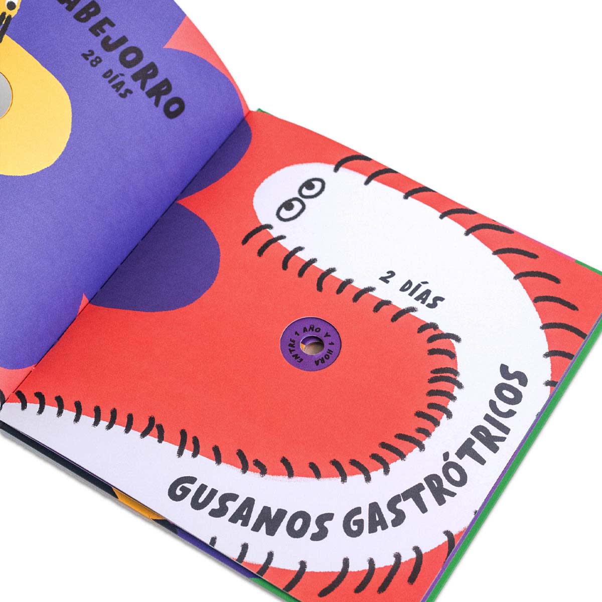 ¿Cuánto tiempo vive?9