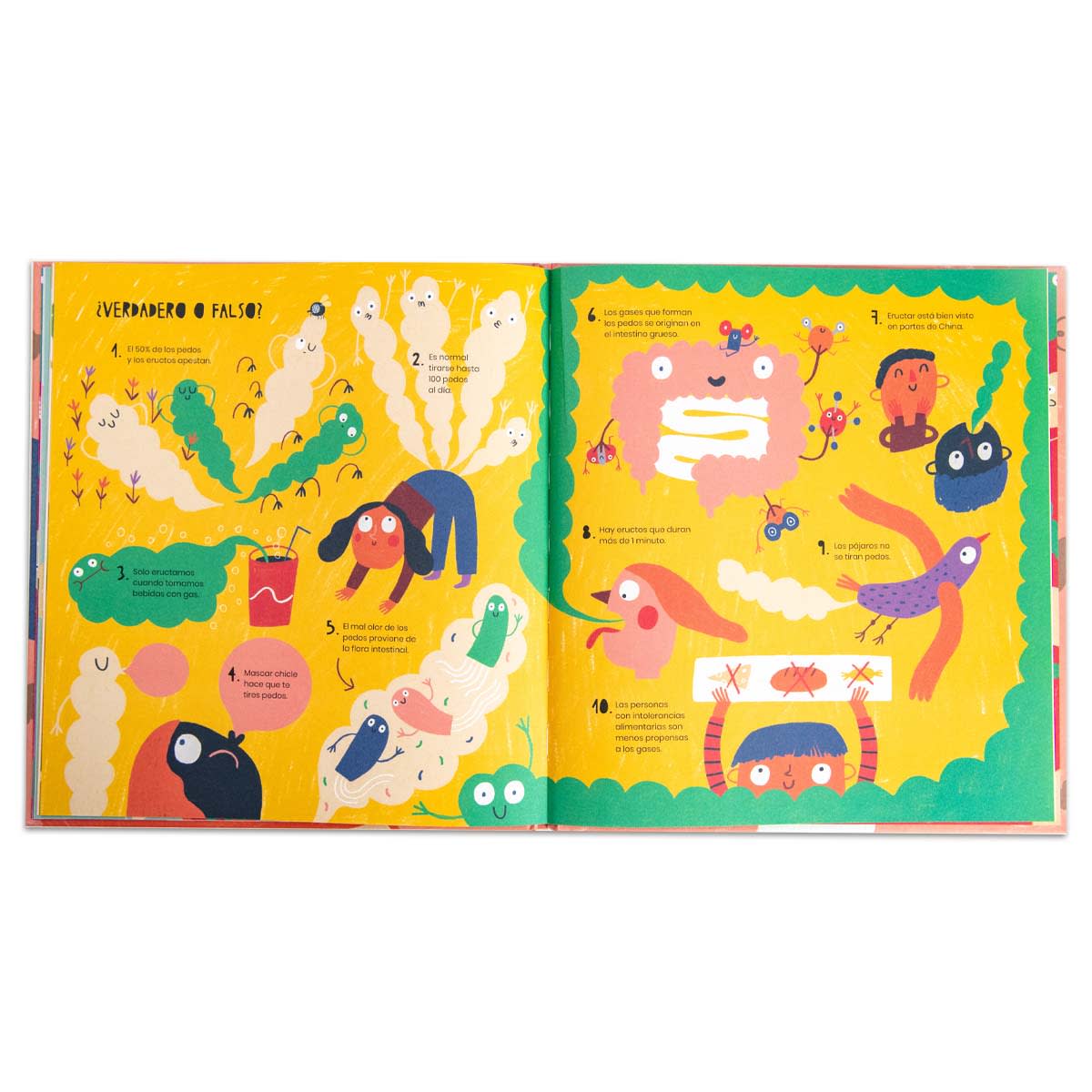 La vida secreta de los pedos y eructos9