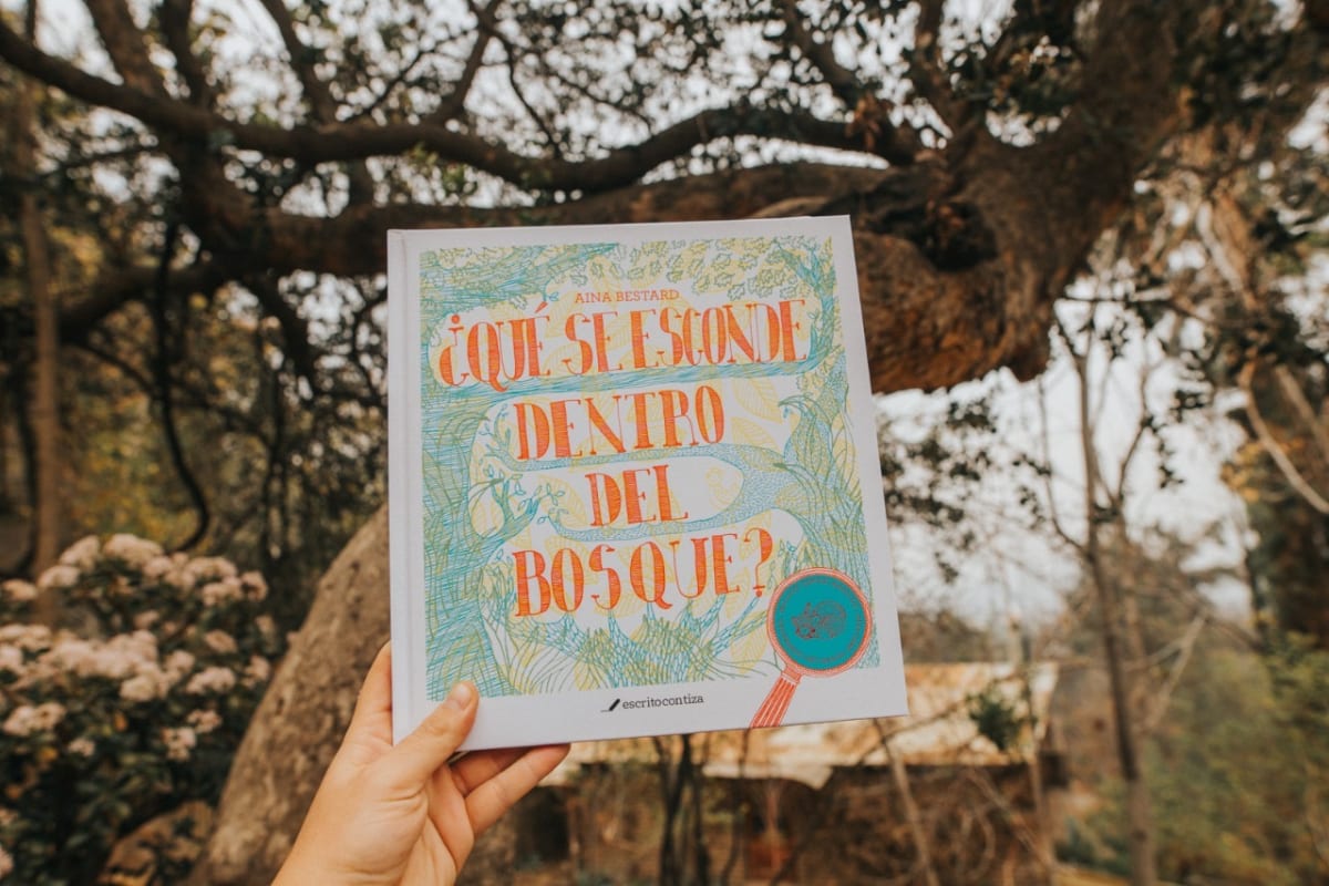 ¿Qué se esconde dentro del bosque?4