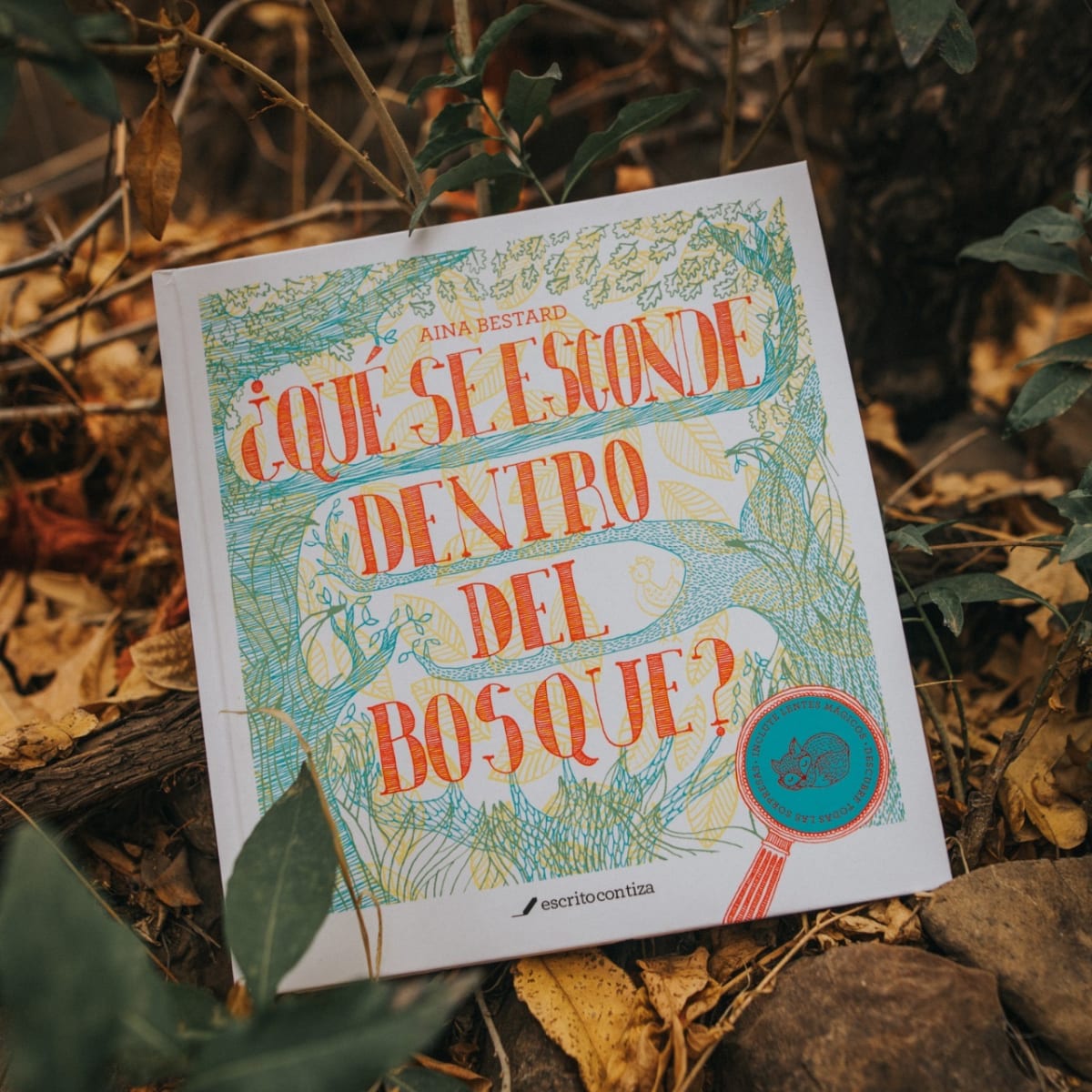 ¿Qué se esconde dentro del bosque?2