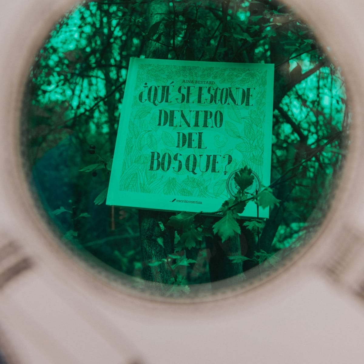 ¿Qué se esconde dentro del bosque?5