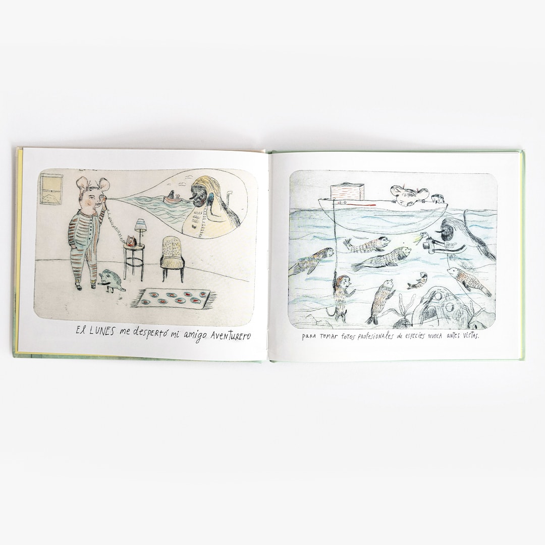 ¿Qué hacer un domingo?6