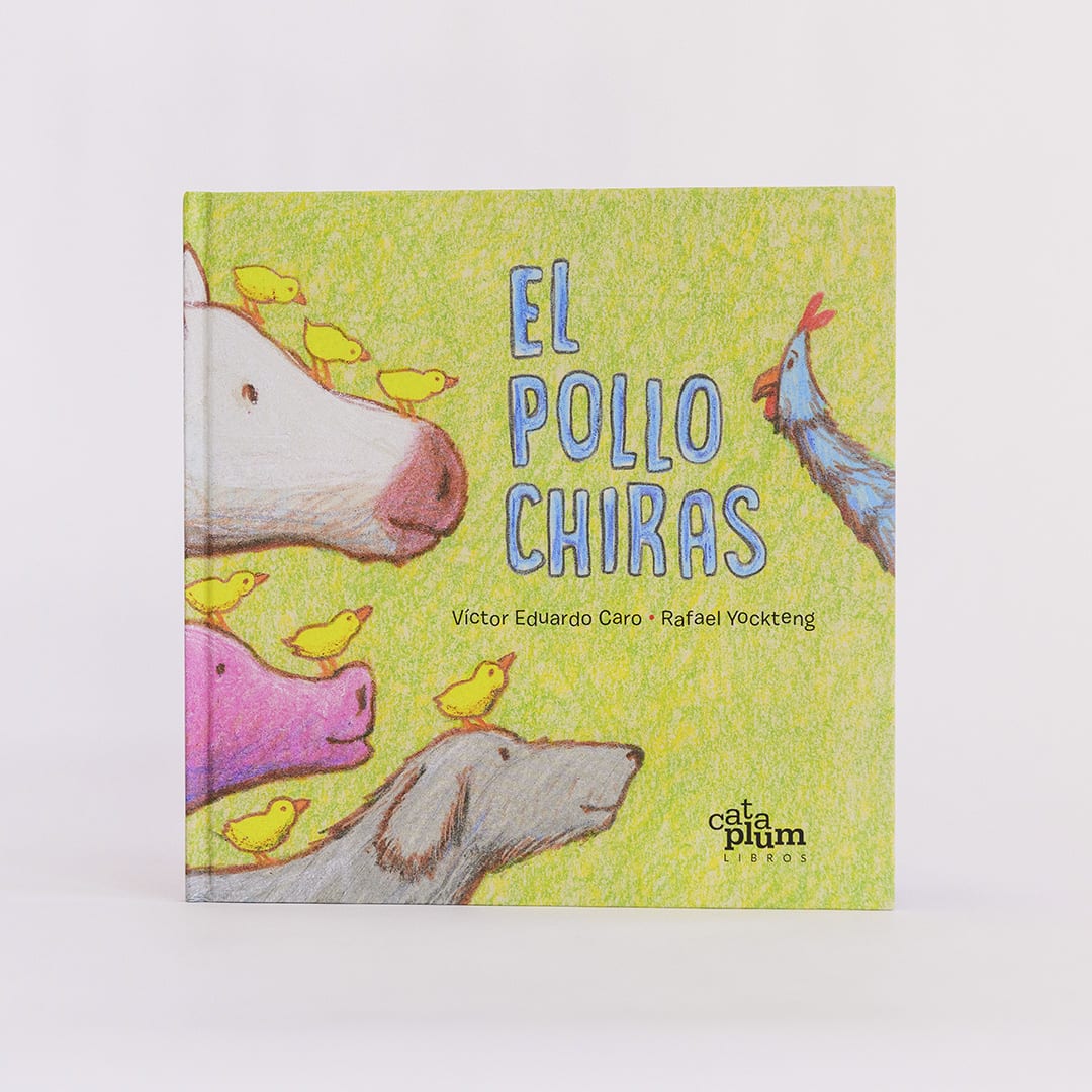 El pollo Chiras3