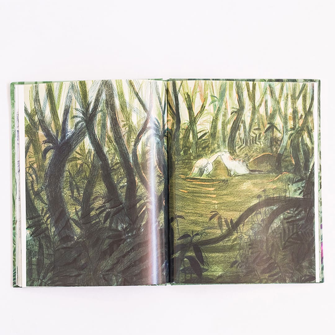 La memoria del bosque6