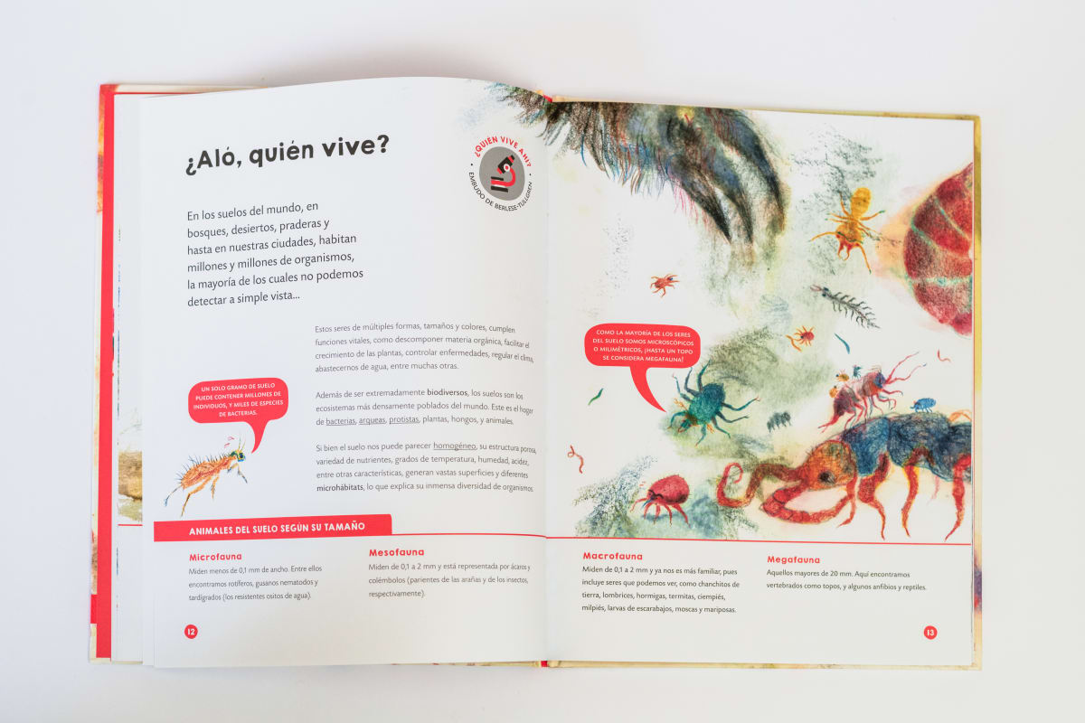 Bajo Tierra. El mundo subterráneo que nos da la vida3