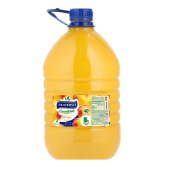 JUGO Mango traverso 5lts