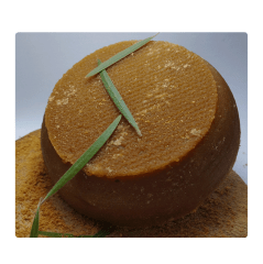 Panela 500G (24 unid x caja)