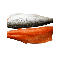 FILETE SALMON CON PIEL 1G