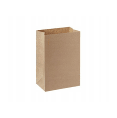 Bolsa delivery craft sin asa 26x15x35 (uni) caja trae 400