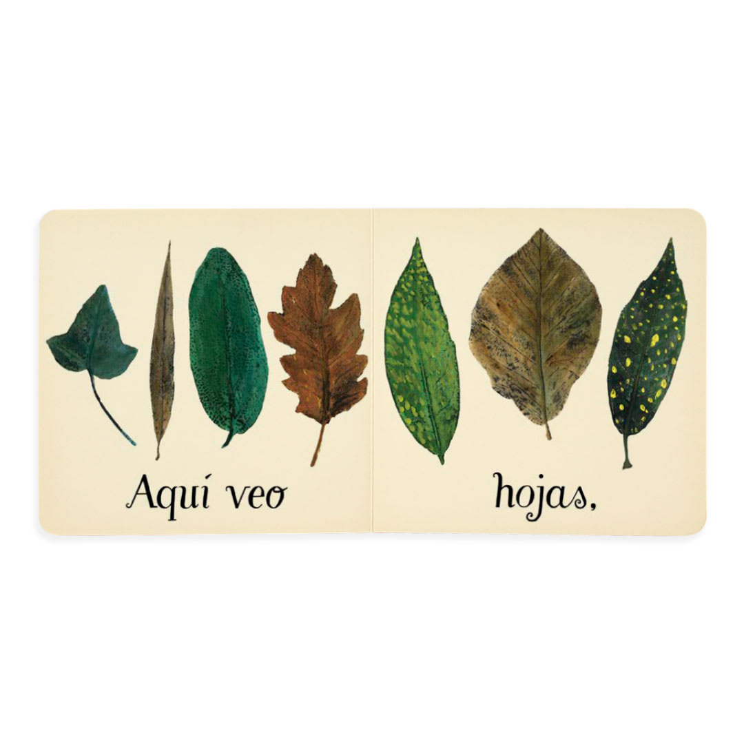 Aquí veo2