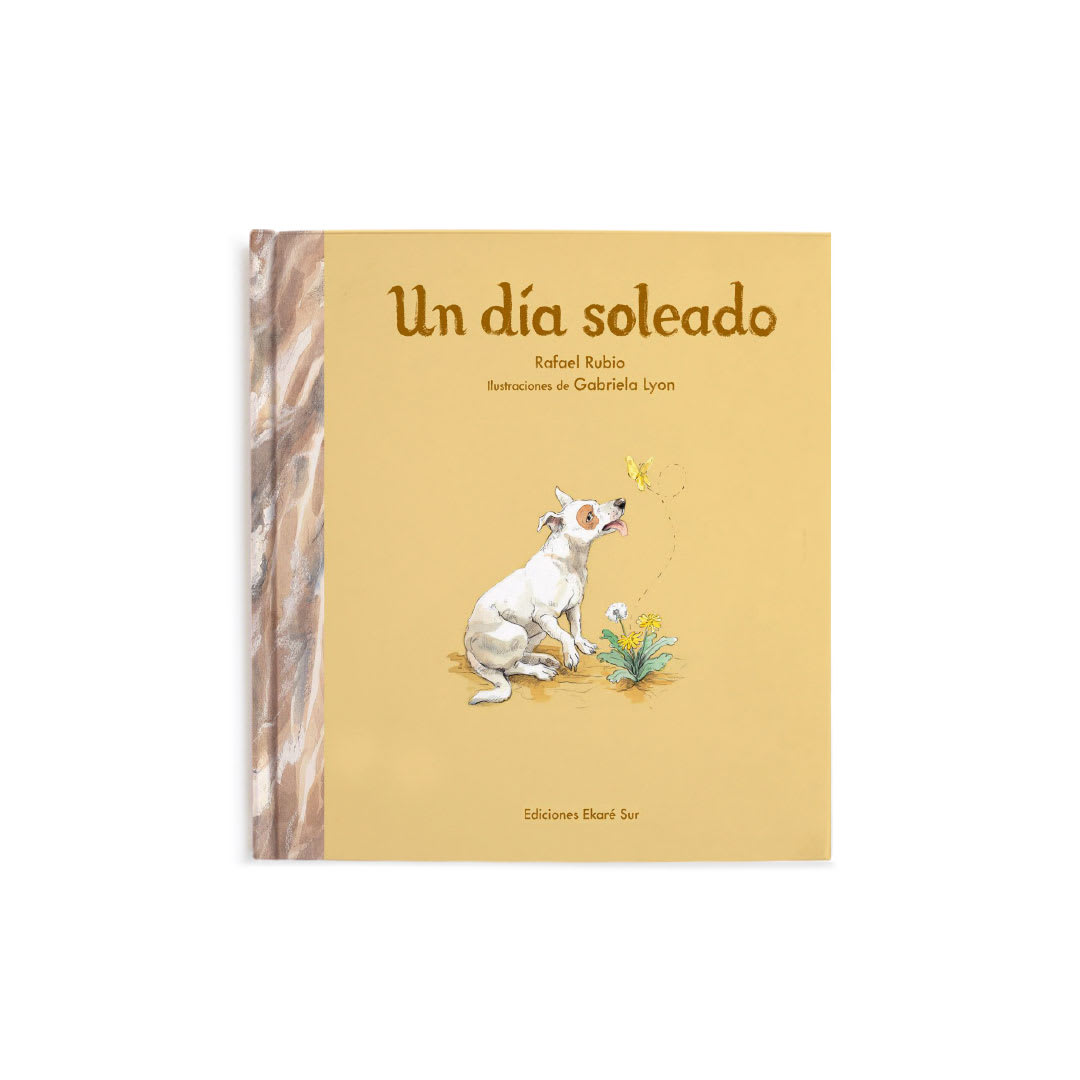 Un día soleado1