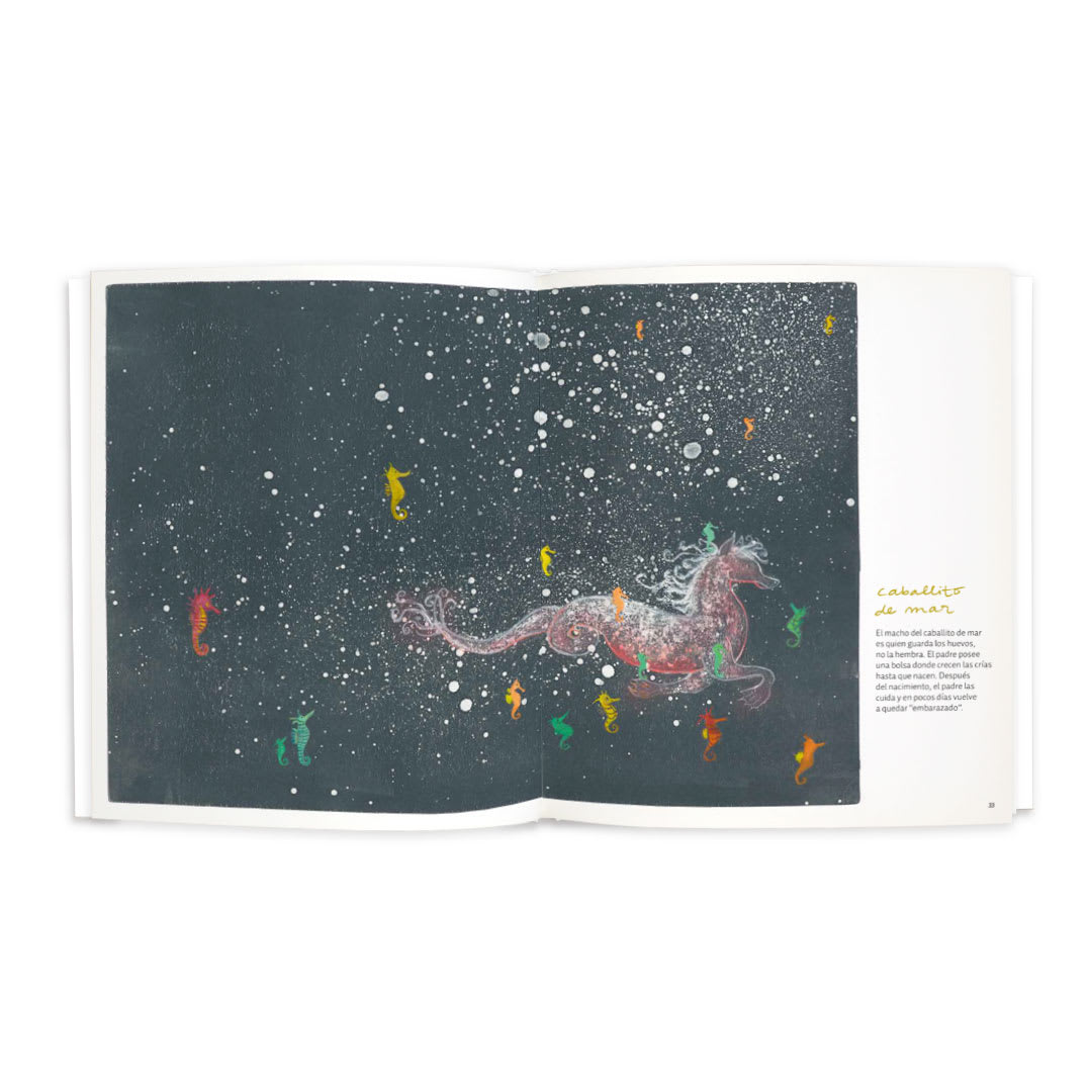 Zoolibro3