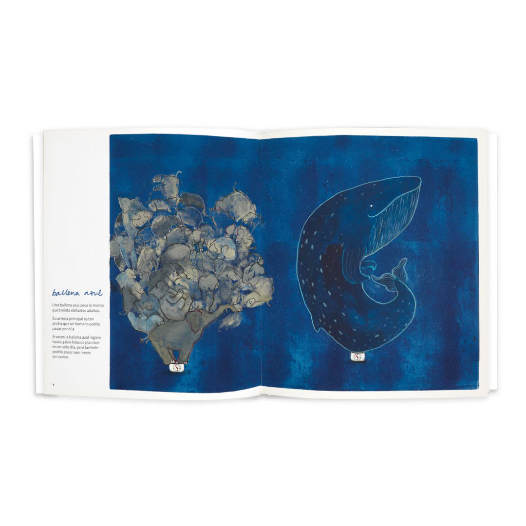Zoolibro2
