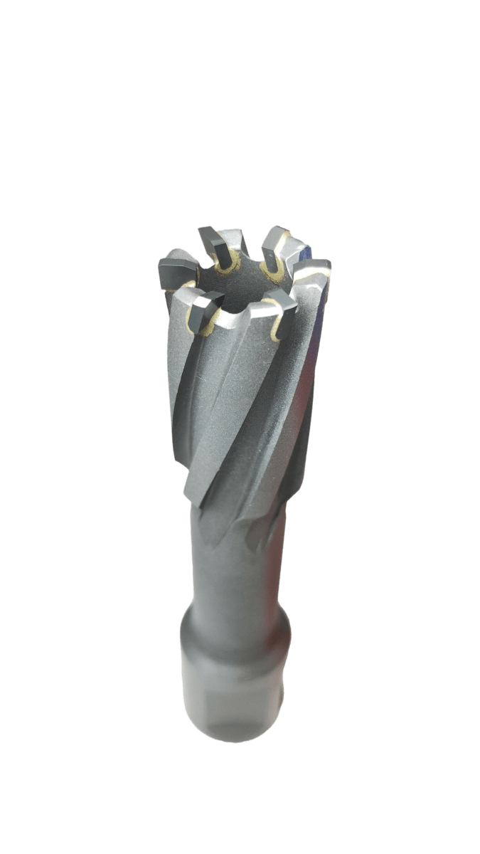 Broca anular 17 x 50 TCT MASTOOLS 1