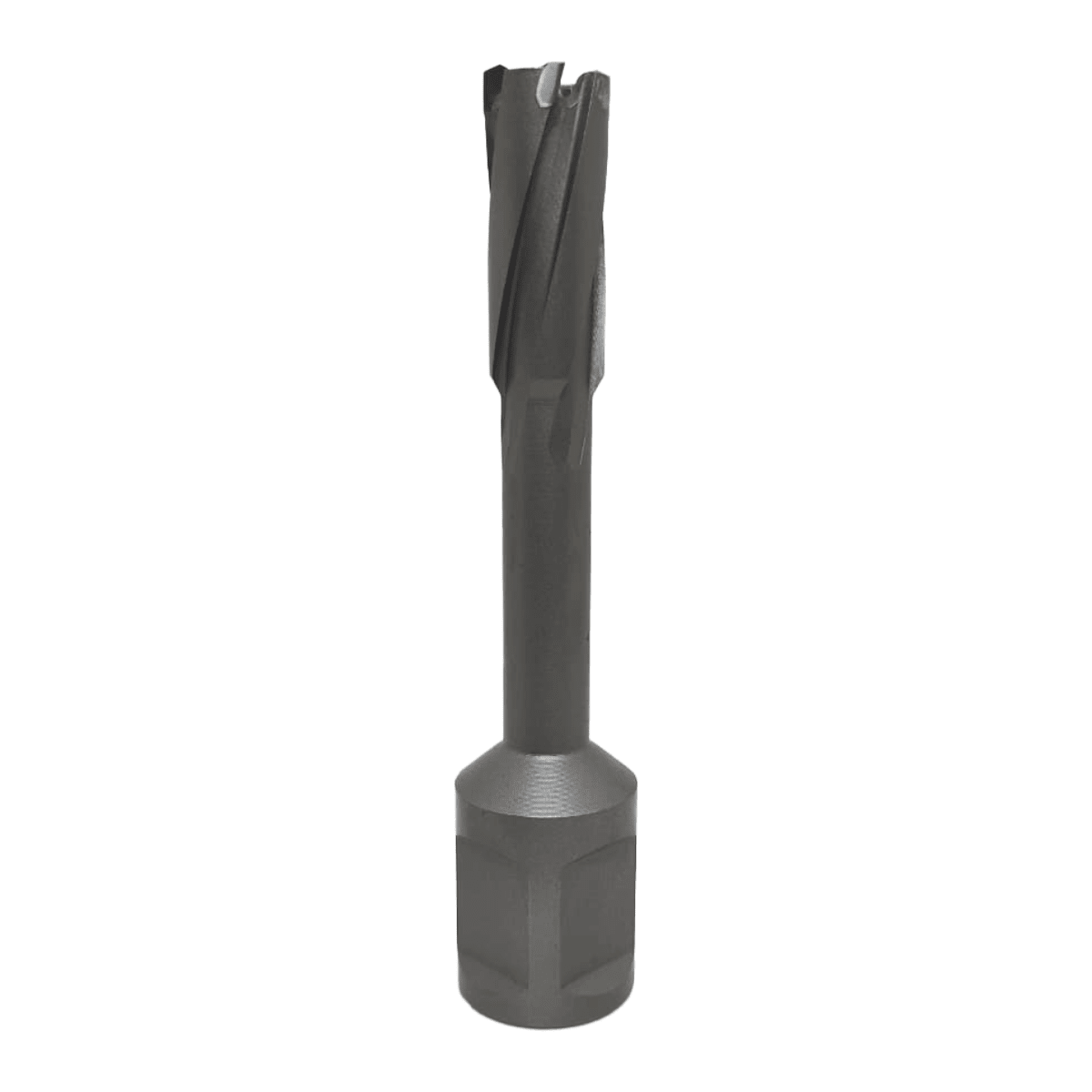 Broca anular 12 x 50 TCT MASTOOLS2