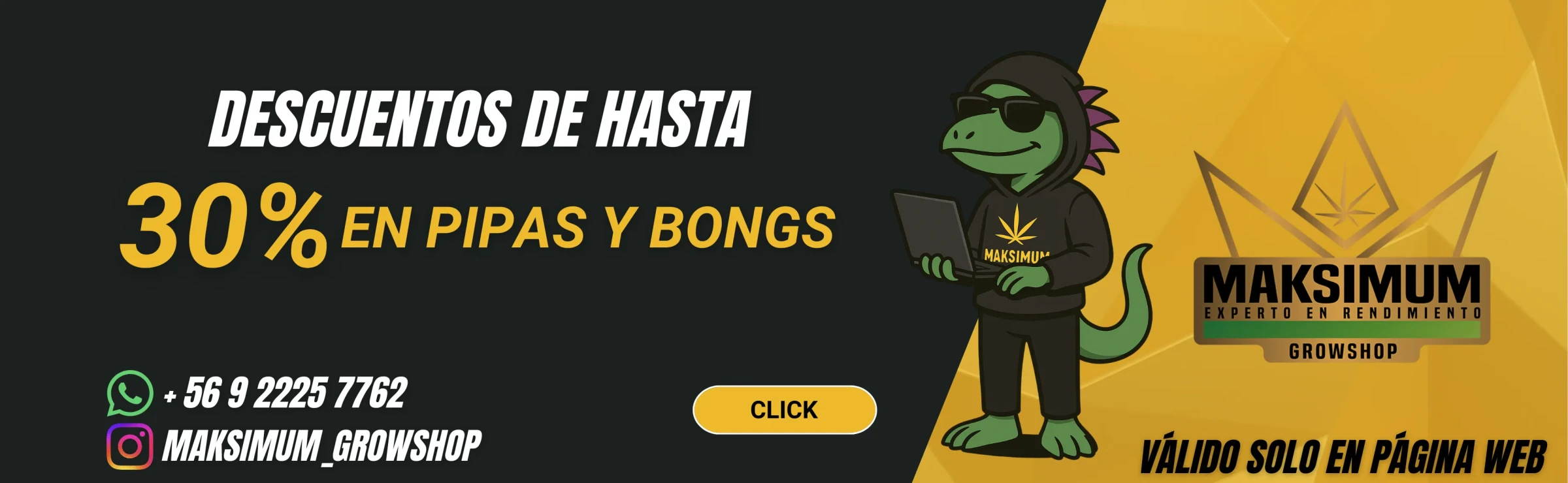 Bongs & Pipas