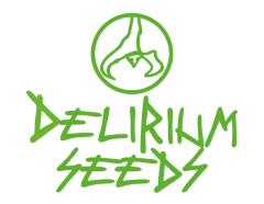 DELIRIUM SEEDS DELIRIUM SEEDS