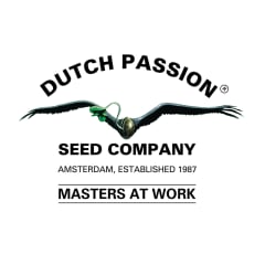 DUTCH PASSION