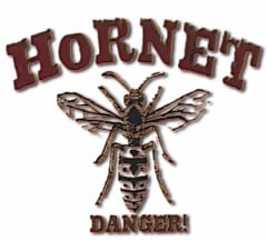 HORNET DANGER