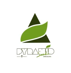PYRAMID SEEDS