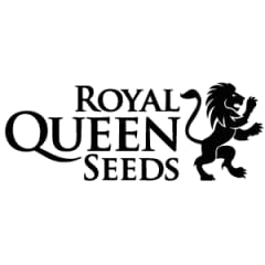ROYAL QUEEN SEEDS